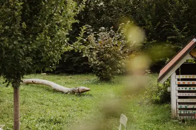 a log laying on the grass in a yard at Valentinhof - organic farm in Merano