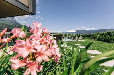 a bunch of pink flowers in a yard at La Rosea - Fine Living Apartments in Appiano sulla Strada del Vino