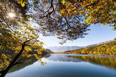 a view of a lake in the fall at La Rosea - Fine Living Apartments in Appiano sulla Strada del Vino