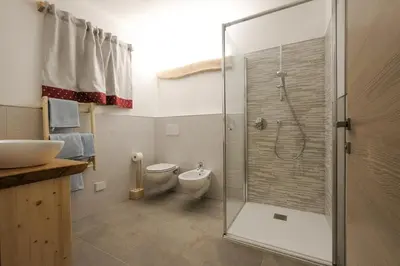 a bathroom with a shower and a toilet and a sink at B&B Le Ciorciole in Tesero