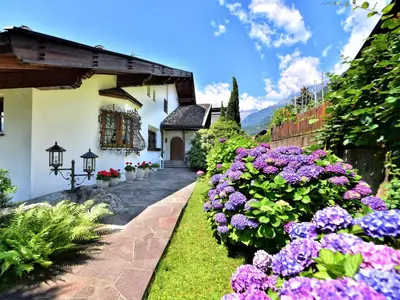 a garden with purple flowers in front of a house at Appartements Villa Fortuna in Tirolo