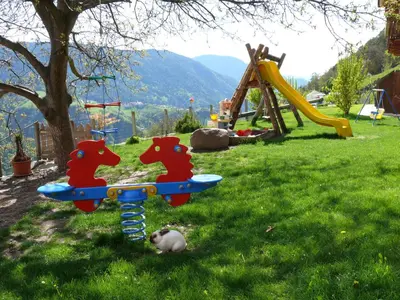 a dog laying on the grass next to a playground at Ferienbauernhof Wieserhof in Fiè