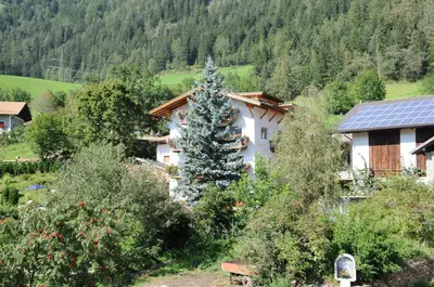 a christmas tree in front of a house at Chalet & Appartement Zingerlehof Trens in Campo di Trens