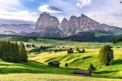Gallery image of Hotel COSMEA 4 Stars - Your Dolomites experience in Ortisei