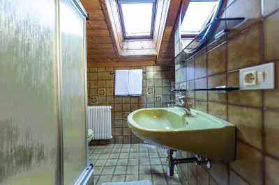 a bathroom with a sink and a glass shower at Panorama Apartment Pizaut in Ortisei