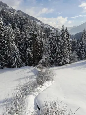 a snow covered field with trees in the background at Ober-Gruberhof in Ridanna