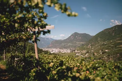 a view of a town in a valley with mountains at Pitzner - Winery & Suites in Cornedo all'Isarco