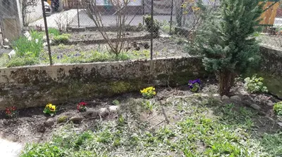 a garden with a christmas tree and flowers at CASA MASCIA in Cencenighe