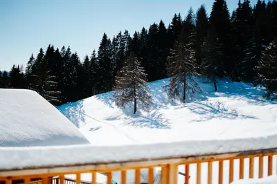 a snow covered roof of a house with trees at Karlshütte in Avelengo