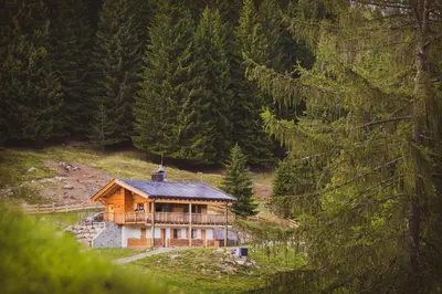 a house on a hill in the middle of a forest at Karlshütte in Avelengo