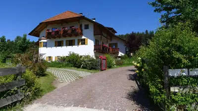 a house on a road in front of a house at Haus Pichler Apartment in Collalbo