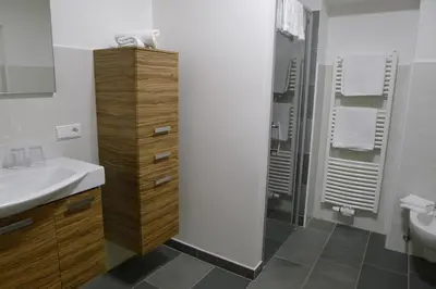 a bathroom with a sink and a shower at Haus Pichler Apartment in Collalbo