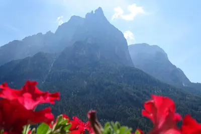 a view of a mountain with red flowers in the foreground at Schmalzlhof in Siusi