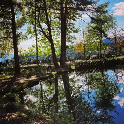 a reflection of trees in a body of water at Rempphof in San Genesio Atesino