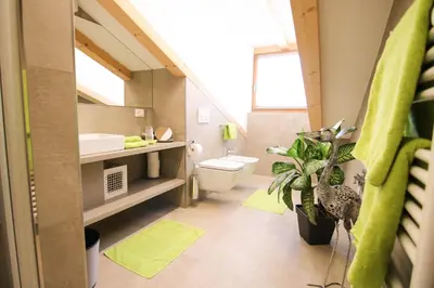 a bathroom with a toilet and a sink and a plant at Residence Paulserhof in Appiano sulla Strada del Vino