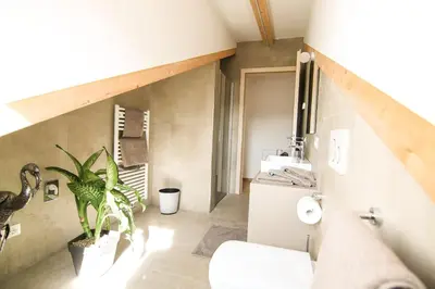 a bathroom with a toilet and a plant in it at Residence Paulserhof in Appiano sulla Strada del Vino