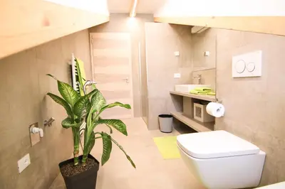 a bathroom with a toilet and a plant in it at Residence Paulserhof in Appiano sulla Strada del Vino