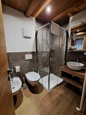a bathroom with a shower and a toilet and a sink at B&B Cesa Marlen in Canazei