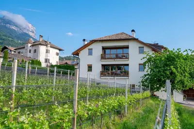 a house in a vineyard in front of a mountain at Weingut Lahn zu Eppan in Appiano sulla Strada del Vino