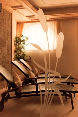 a group of chairs and a plant in a room at Apartments Sunela in Selva di Val Gardena