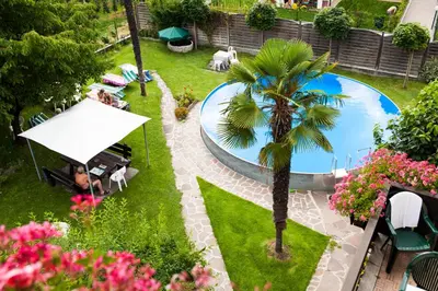 an overhead view of a pool in a yard with a palm tree at Gasthaus Abram in Ora/Auer
