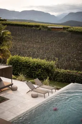 a swimming pool with two lounge chairs and a vineyard at Das Wanda in Caldaro