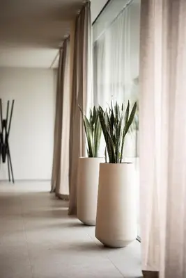two potted plants sitting on a floor near a window at Das Wanda in Caldaro