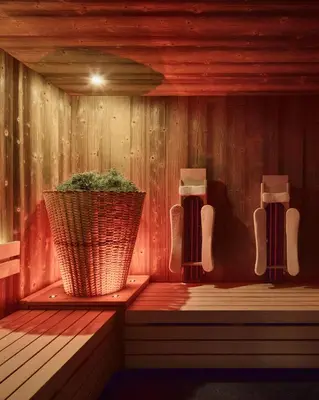 a sauna with a plant in the middle of it at Hotel Mesdi in Arabba