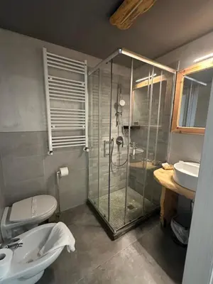 a bathroom with a shower and a sink and a toilet at Chalet Margoni in Canazei