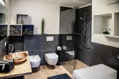 a bathroom with a shower and a toilet and a sink at Apartment Schifta in Chienes