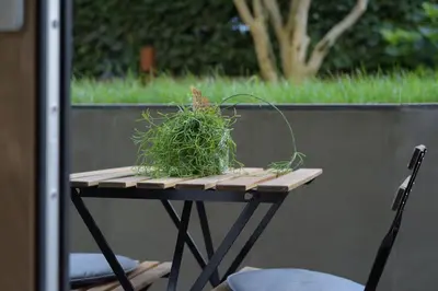 a small table with a plant on top of it at CityChalet romantic Bozen in Bolzano