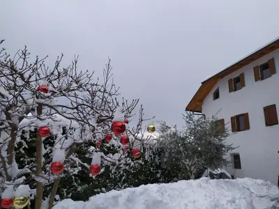 a snow covered tree with christmas ornaments on it at Ferienwohnungen Luggin in Caldaro
