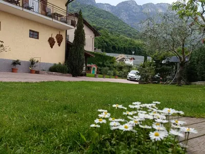 a bunch of flowers in the grass next to a house at Ferienwohnungen Luggin in Caldaro