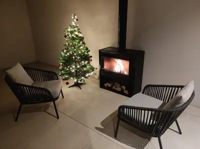 a living room with a christmas tree and a fireplace at Zilli Studio Apartments in Termeno