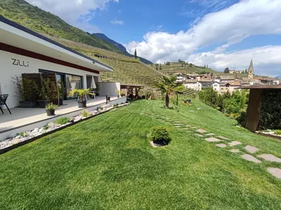 a view of the yard of a house with a lawn at Zilli Studio Apartments in Termeno