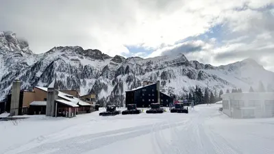 a cat standing in a field with mountains in the background at Valles Vacanze - ski in & ski out in Falcade