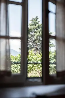 a view of a tree through a window at Weingut Kornell - Schafferhaus Cosmas und Zeder in Terlano