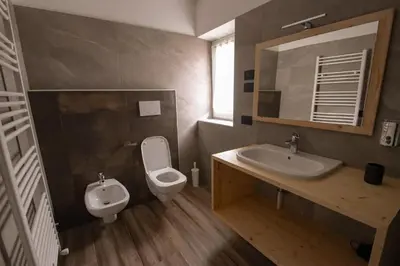 a bathroom with a sink and a toilet and a mirror at Alpenrooms in Transacqua