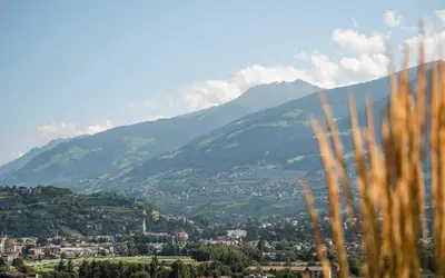 a house in a valley with a mountain at Füchslhof in Marlengo