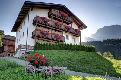 a building with flowers on the side of it at Gfliererhof in Fiè