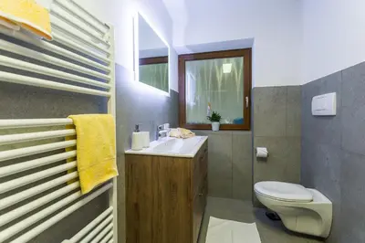 a bathroom with a sink and a toilet and a window at Haidgerberhof - apartments & homemade food in Longomoso