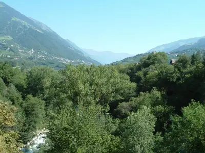 a forest of trees with mountains in the background at Vermietung Obermais in Merano