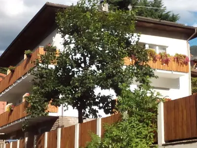a tree in front of a white building at Vermietung Obermais in Merano