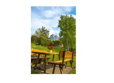 a picnic table and benches with a view of a park at Appartments Geislerblick in Castelrotto