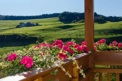 a balcony with pink flowers and a green field at Appartments Geislerblick in Castelrotto