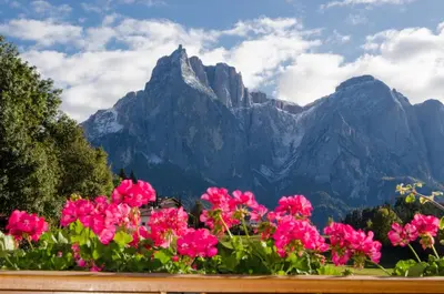 a bunch of pink flowers in front of a mountain at Appartments Geislerblick in Castelrotto