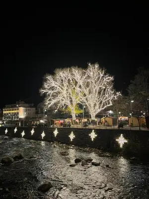 a lit up tree next to a river at night at Theatre Lodge Attico teatro in Merano
