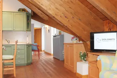 a kitchen with green cabinets and a tv in a room at LA PULCE INNEVATA - mansarda sulle piste, Dolomiti Affitti in Passo Rolle