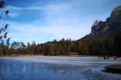 a beach with snow and trees and a mountain at App Schlossblick - Wohnung Hammerwand 2 in Umes