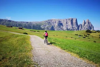 a woman riding a bike down a dirt road in a field at App Schlossblick - Wohnung Hammerwand 2 in Umes